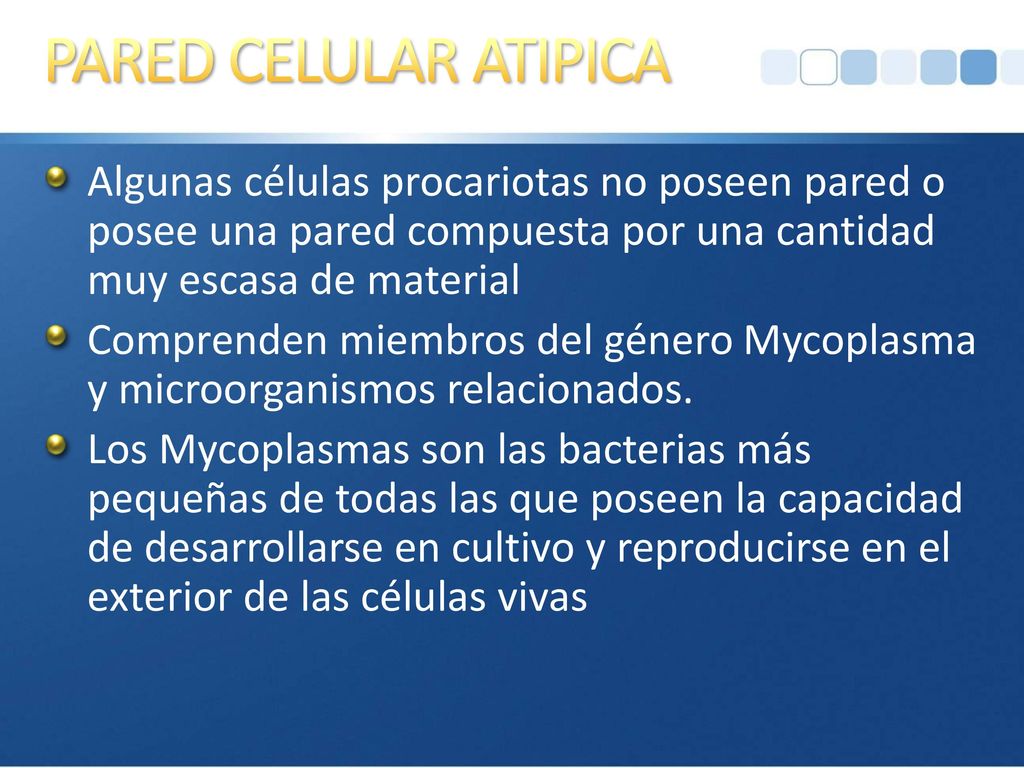 PARED CELULAR ATIPICA Algunas células procariotas no poseen pared o posee una pared compuesta por una cantidad muy escasa de material.