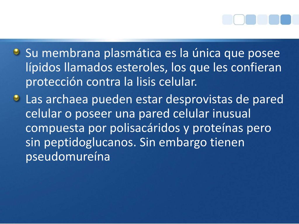 Su membrana plasmática es la única que posee lípidos llamados esteroles, los que les confieran protección contra la lisis celular.