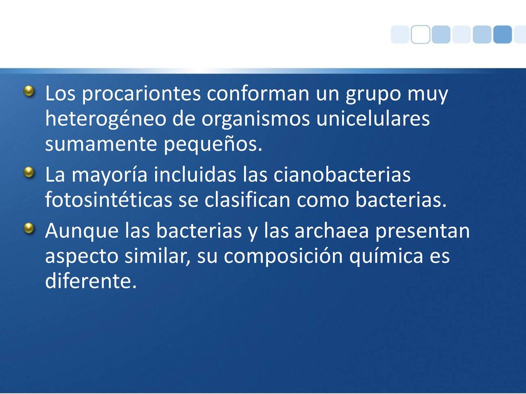 Los procariontes conforman un grupo muy heterogéneo de organismos unicelulares sumamente pequeños.