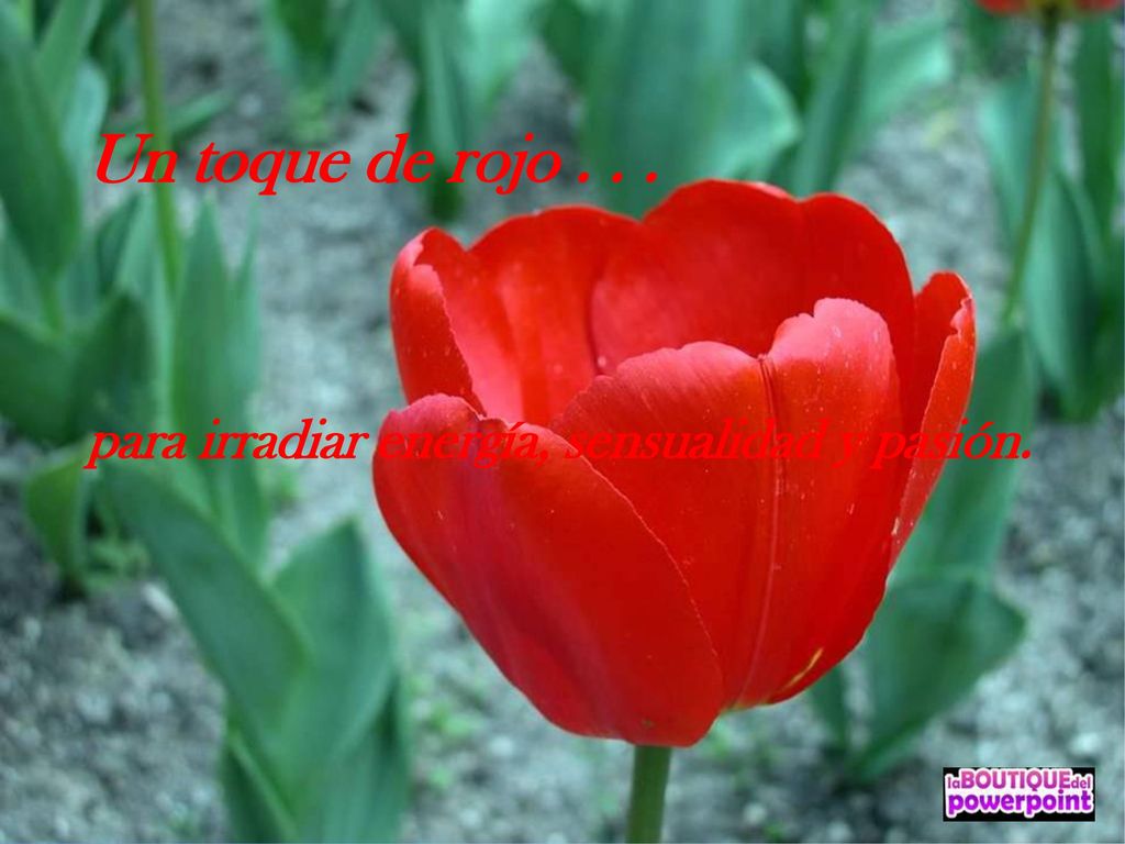 Un toque de rojo para irradiar energía, sensualidad y pasión.