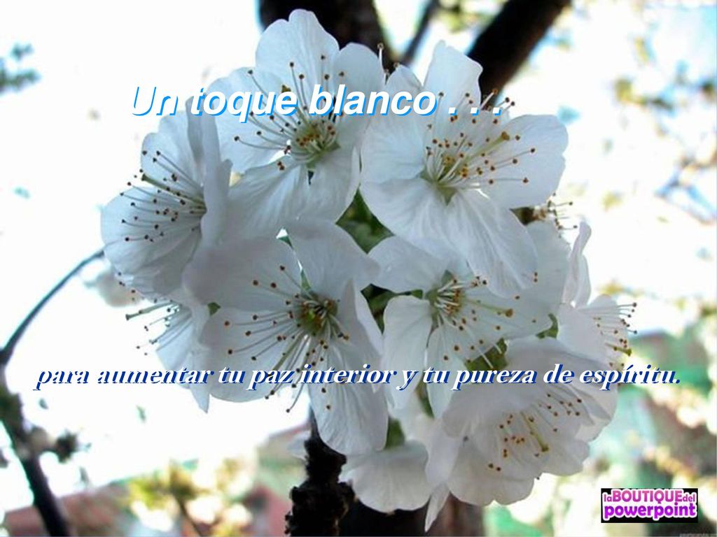 Un toque blanco . Blanco para aumentar tu paz interior y tu pureza de espíritu.