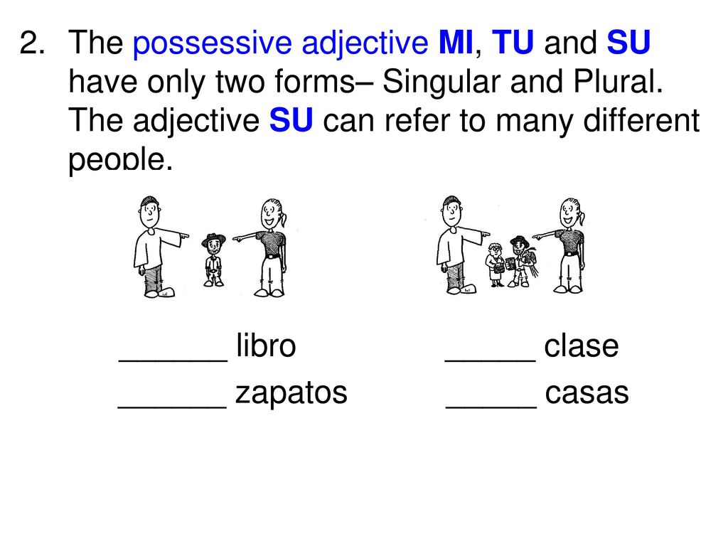 The possessive adjective MI, TU and SU have only two forms– Singular and Plural. The adjective SU can refer to many different people.