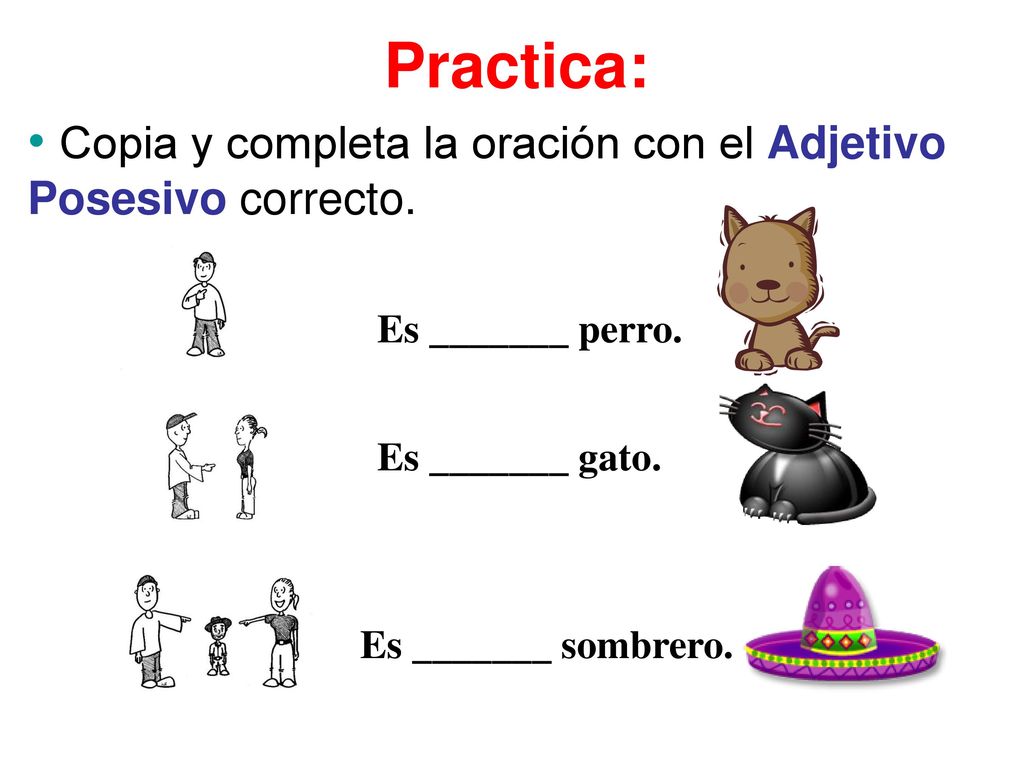 Copia y completa la oración con el Adjetivo Posesivo correcto.