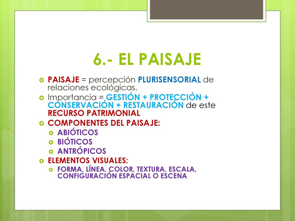 6.- EL PAISAJE PAISAJE = percepción PLURISENSORIAL de relaciones ecológicas.