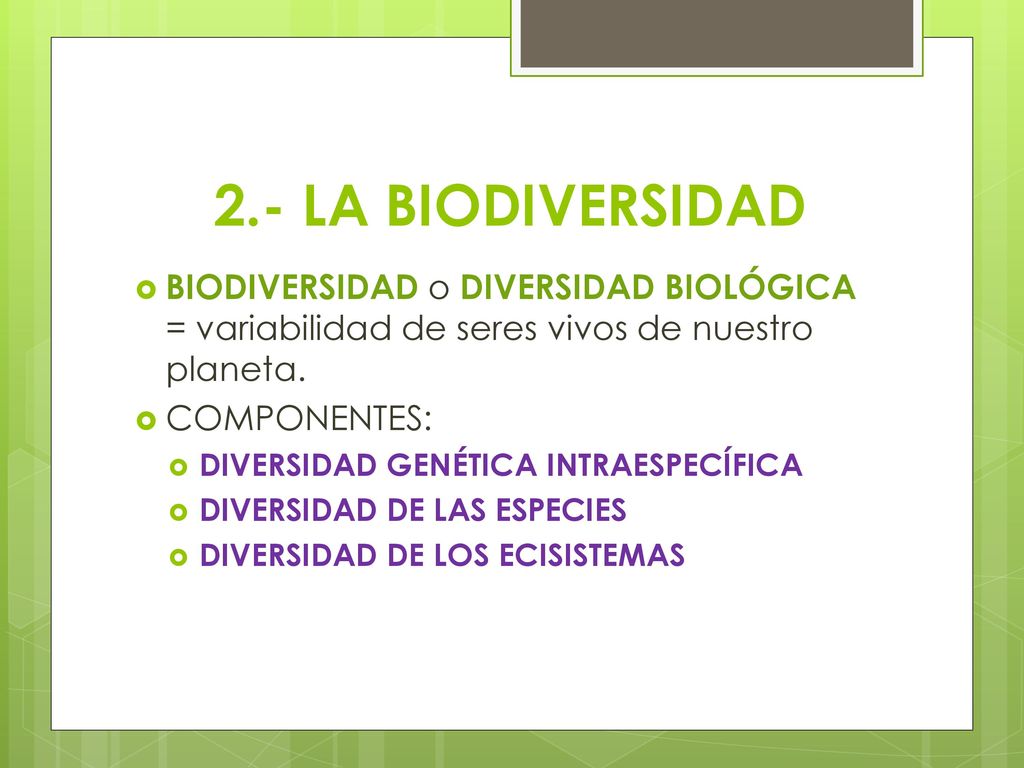 2.- LA BIODIVERSIDAD BIODIVERSIDAD o DIVERSIDAD BIOLÓGICA = variabilidad de seres vivos de nuestro planeta.