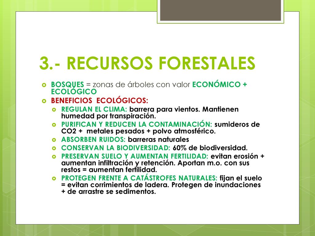 3.- RECURSOS FORESTALES BOSQUES = zonas de árboles con valor ECONÓMICO + ECOLÓGICO. BENEFICIOS ECOLÓGICOS: