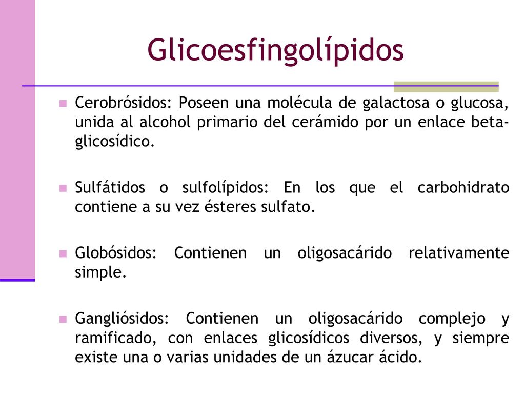 Glicoesfingolípidos Cerobrósidos: Poseen una molécula de galactosa o glucosa, unida al alcohol primario del cerámido por un enlace beta-glicosídico.