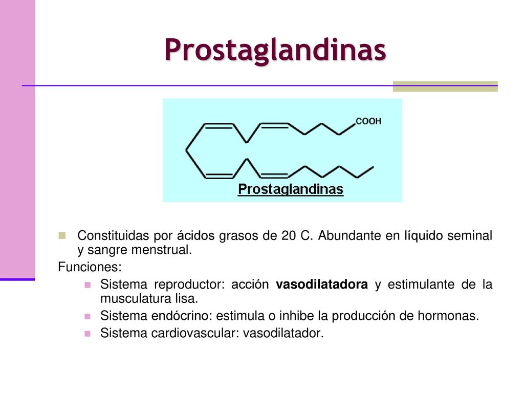 Prostaglandinas Constituidas por ácidos grasos de 20 C. Abundante en líquido seminal y sangre menstrual.