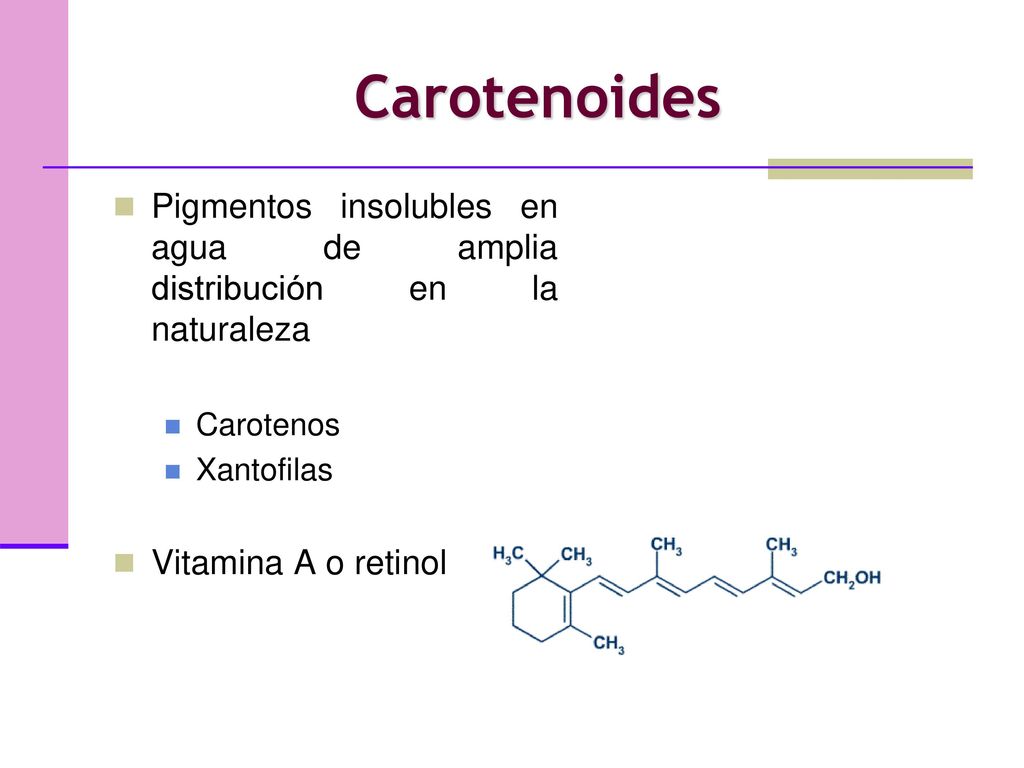 Carotenoides Pigmentos insolubles en agua de amplia distribución en la naturaleza. Carotenos. Xantofilas.