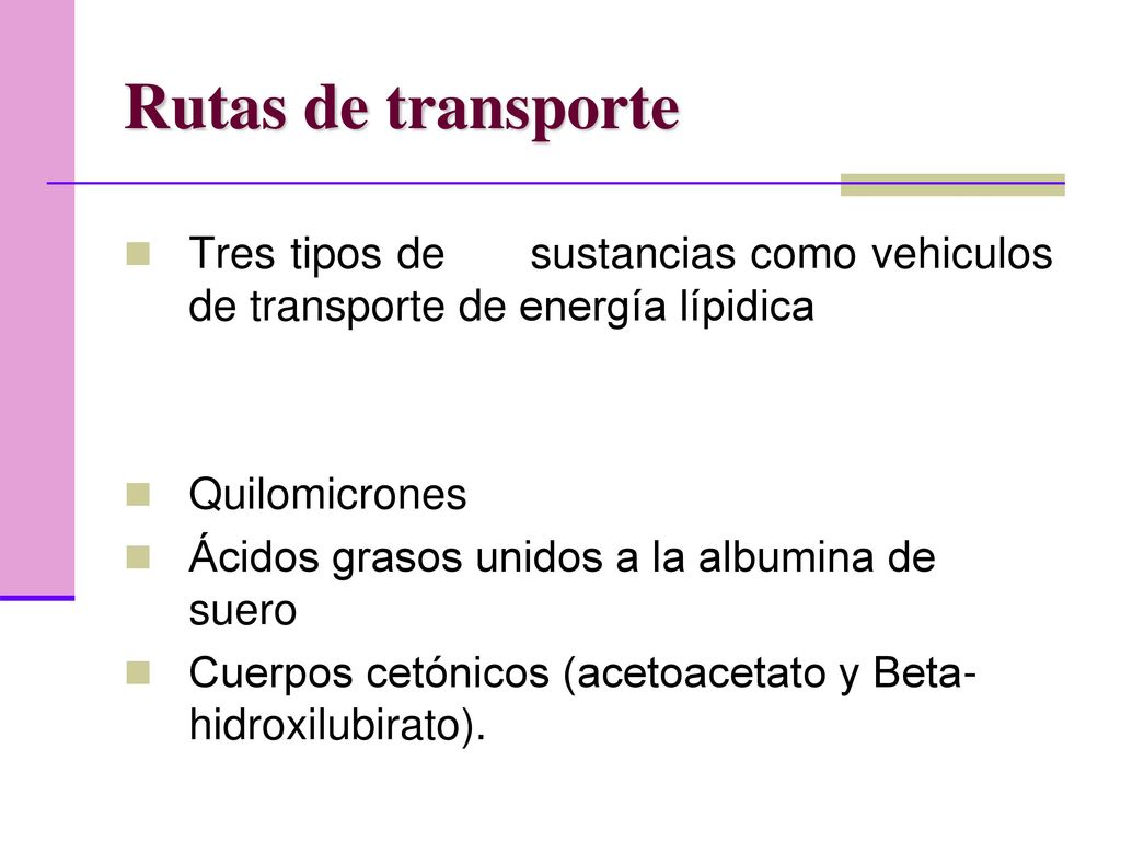 Rutas de transporte Tres tipos de sustancias como vehiculos de transporte de energía lípidica.
