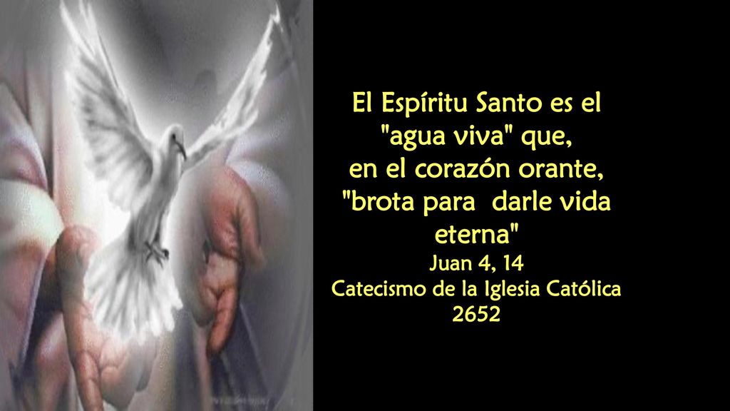 brota para darle vida eterna Catecismo de la Iglesia Católica