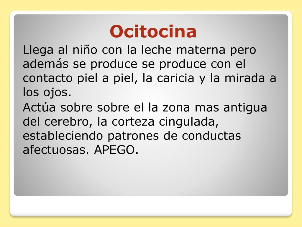Ocitocina Llega al niño con la leche materna pero además se produce se produce con el contacto piel a piel, la caricia y la mirada a los ojos.