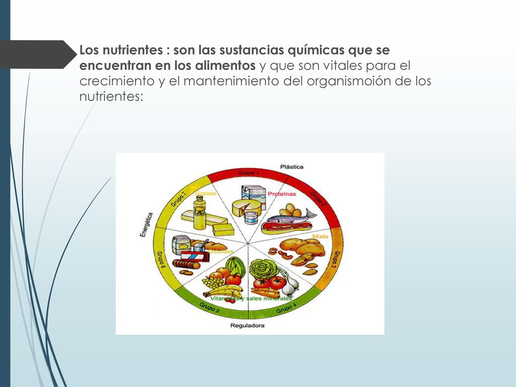 Los nutrientes : son las sustancias químicas que se encuentran en los alimentos y que son vitales para el crecimiento y el mantenimiento del organismoión de los nutrientes: