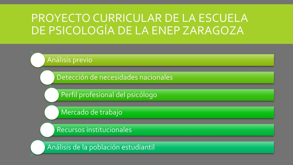 Proyecto curricular de la Escuela de Psicología de la ENEP Zaragoza
