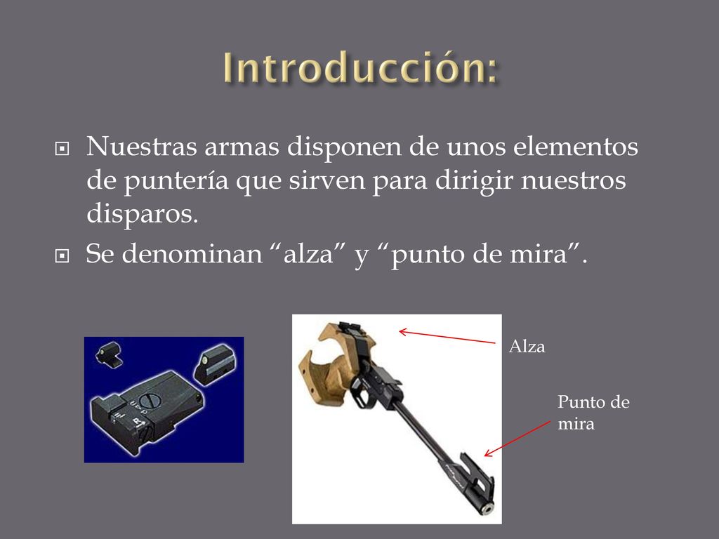 Introducción: Nuestras armas disponen de unos elementos de puntería que sirven para dirigir nuestros disparos.