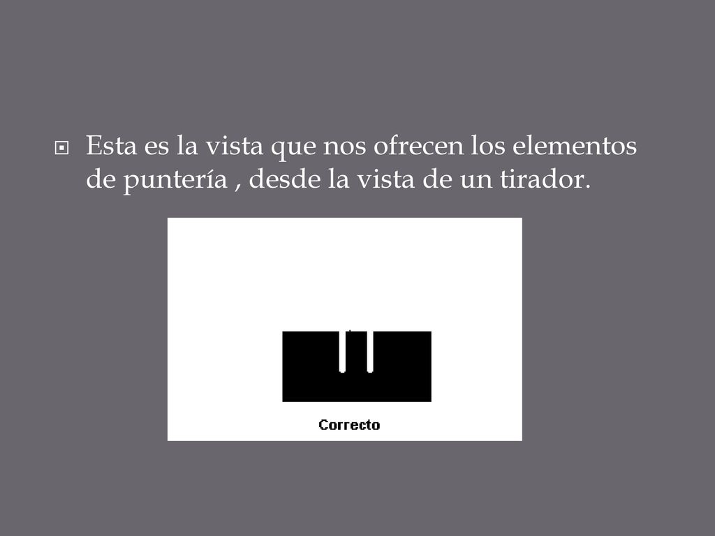 Esta es la vista que nos ofrecen los elementos de puntería , desde la vista de un tirador.