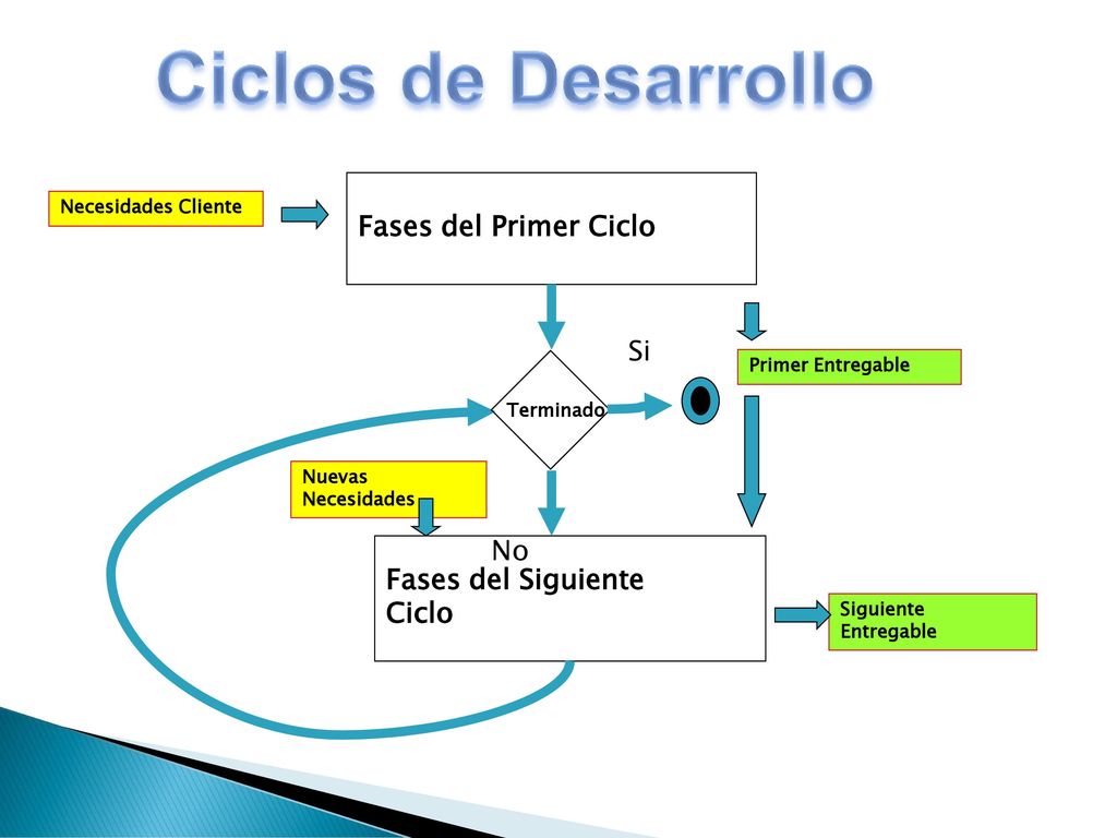 Ciclos de Desarrollo Fases del Primer Ciclo Si No Fases del Siguiente