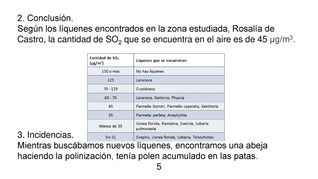 2. Conclusión. Según los líquenes encontrados en la zona estudiada, Rosalía de Castro, la cantidad de SO2 que se encuentra en el aire es de 45 µg/m3.