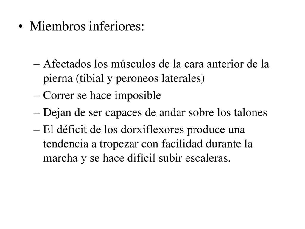 Miembros inferiores: Afectados los músculos de la cara anterior de la pierna (tibial y peroneos laterales)