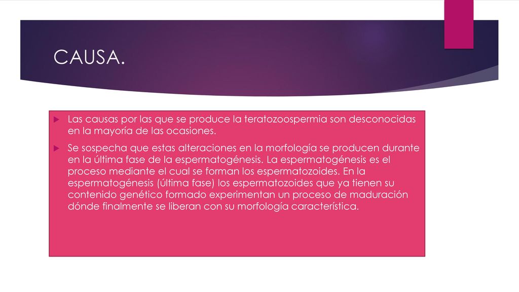 CAUSA. Las causas por las que se produce la teratozoospermia son desconocidas en la mayoría de las ocasiones.