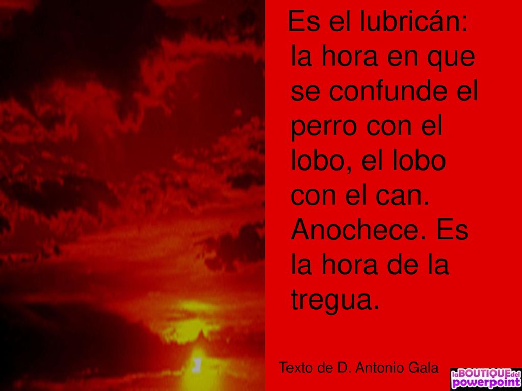 Es el lubricán: la hora en que se confunde el perro con el lobo, el lobo con el can. Anochece. Es la hora de la tregua.