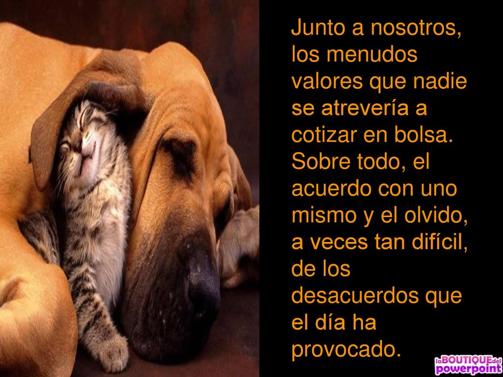 Junto a nosotros, los menudos valores que nadie se atrevería a cotizar en bolsa.