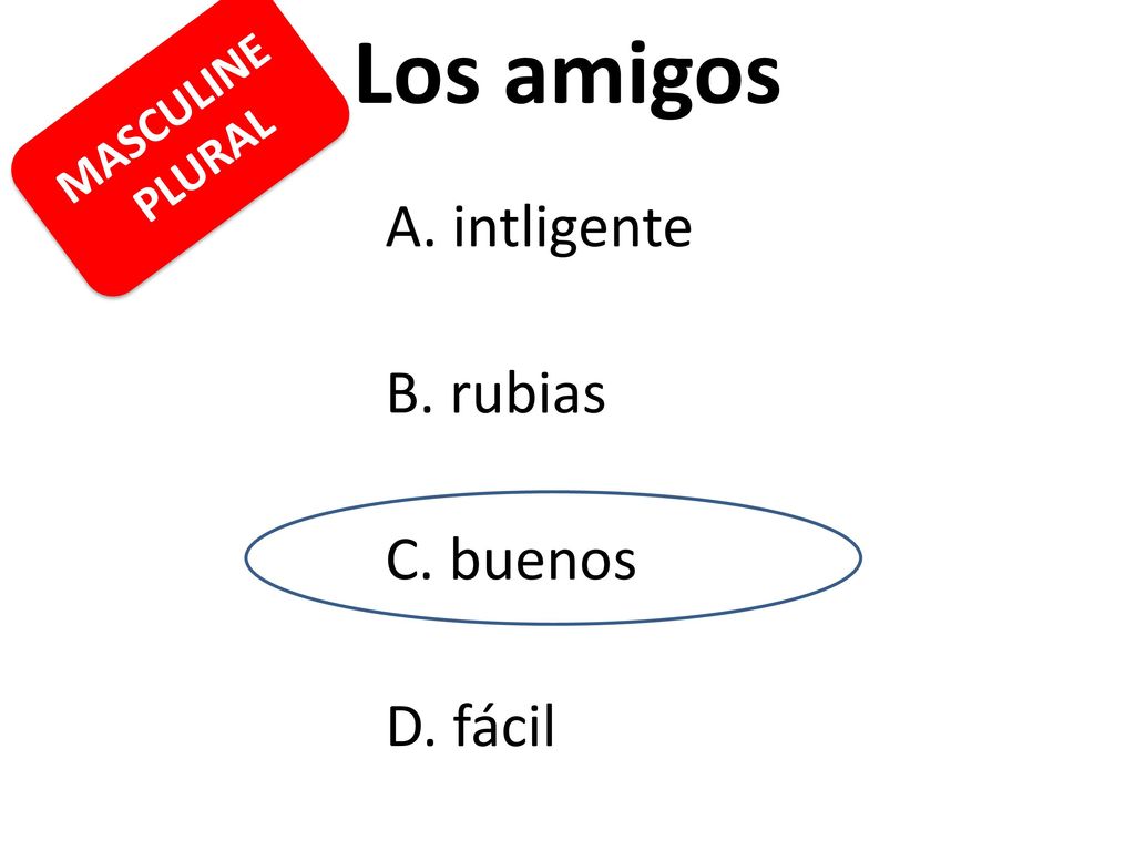Los amigos MASCULINE PLURAL A. intligente B. rubias C. buenos D. fácil