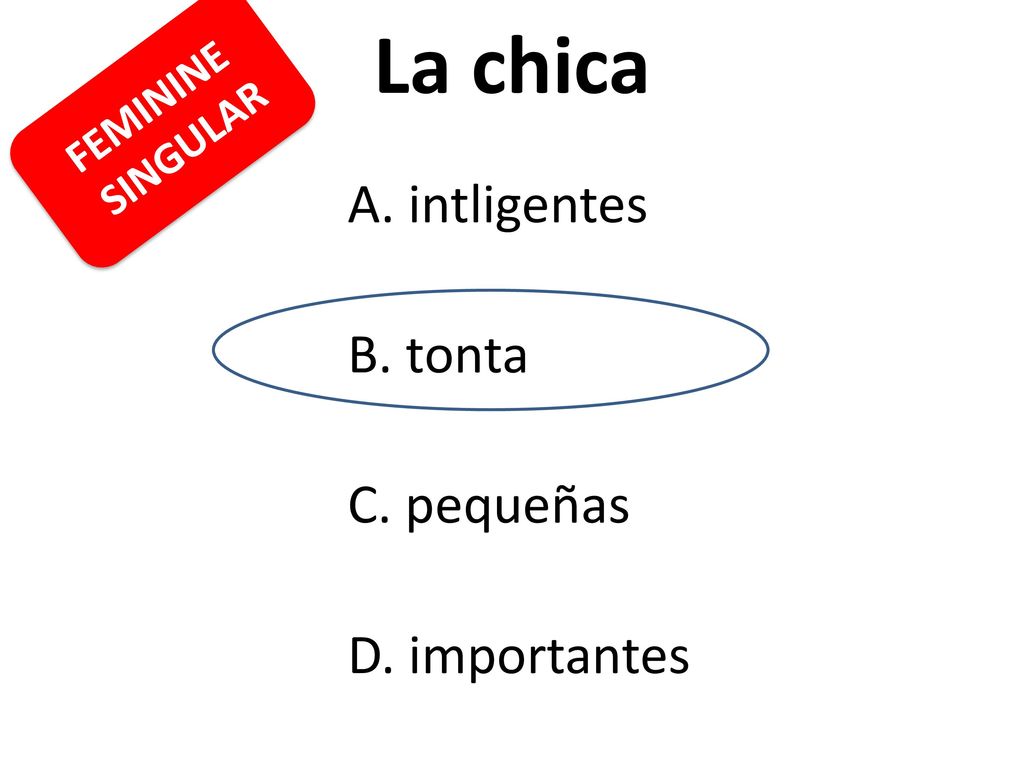 La chica B. tonta C. pequeñas D. importantes FEMININE SINGULAR