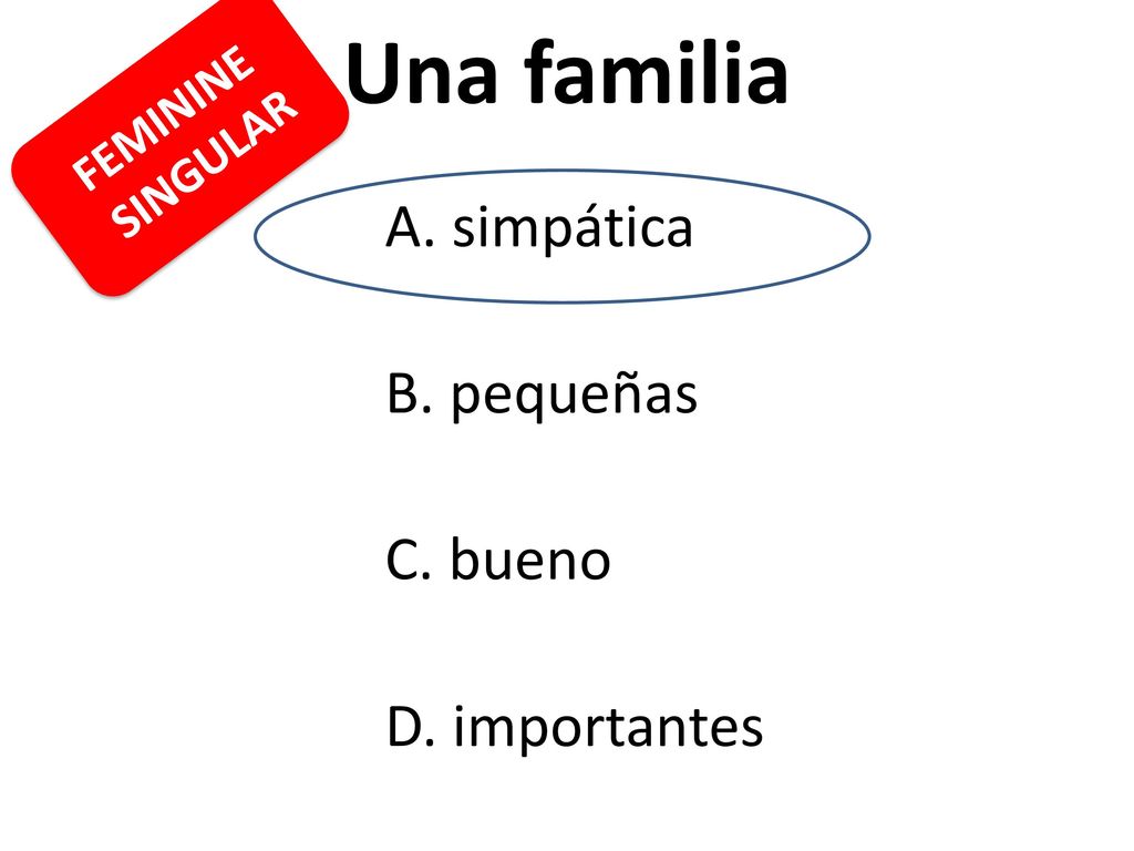 Una familia B. pequeñas C. bueno D. importantes FEMININE SINGULAR