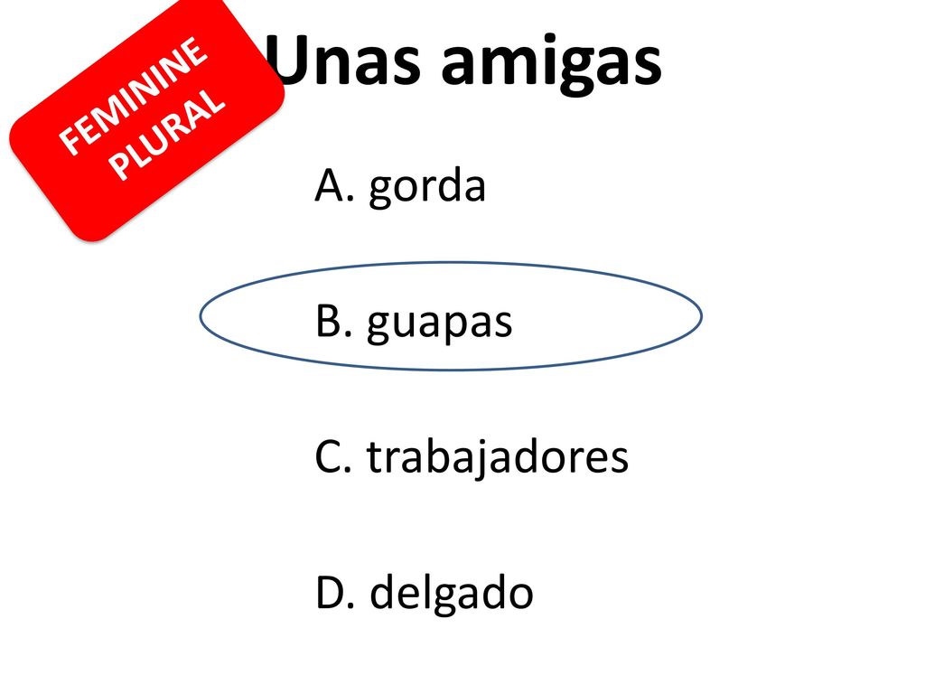 Unas amigas B. guapas C. trabajadores D. delgado FEMININE PLURAL