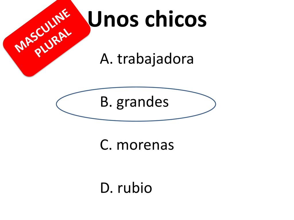 Unos chicos B. grandes C. morenas D. rubio MASCULINE PLURAL