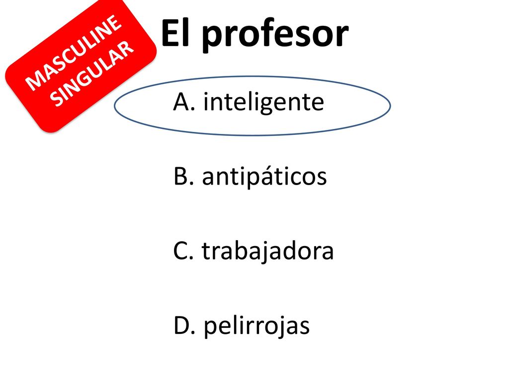 El profesor B. antipáticos C. trabajadora D. pelirrojas MASCULINE