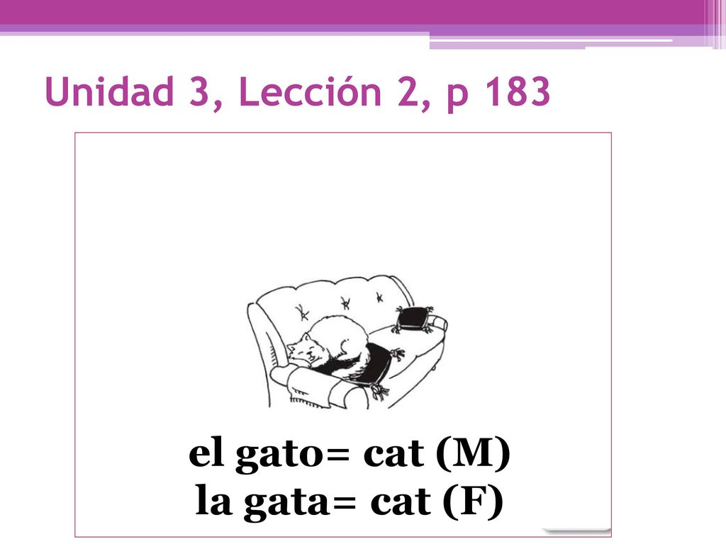 Unidad 3, Lección 2, p 183 el gato= cat (M) la gata= cat (F)
