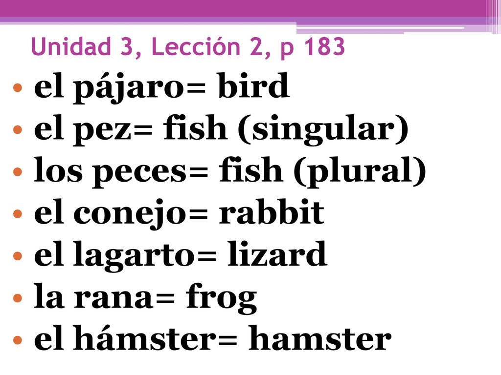 el pez= fish (singular) los peces= fish (plural) el conejo= rabbit