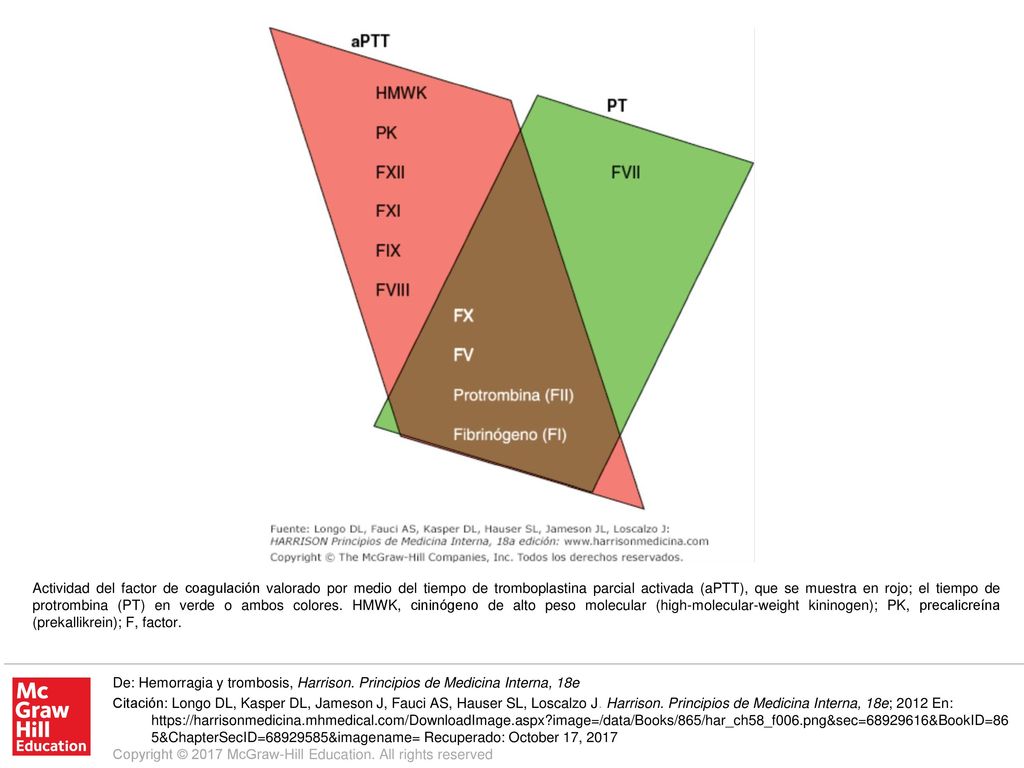 Actividad del factor de coagulación valorado por medio del tiempo de tromboplastina parcial activada (aPTT), que se muestra en rojo; el tiempo de protrombina (PT) en verde o ambos colores. HMWK, cininógeno de alto peso molecular (high-molecular-weight kininogen); PK, precalicreína (prekallikrein); F, factor.