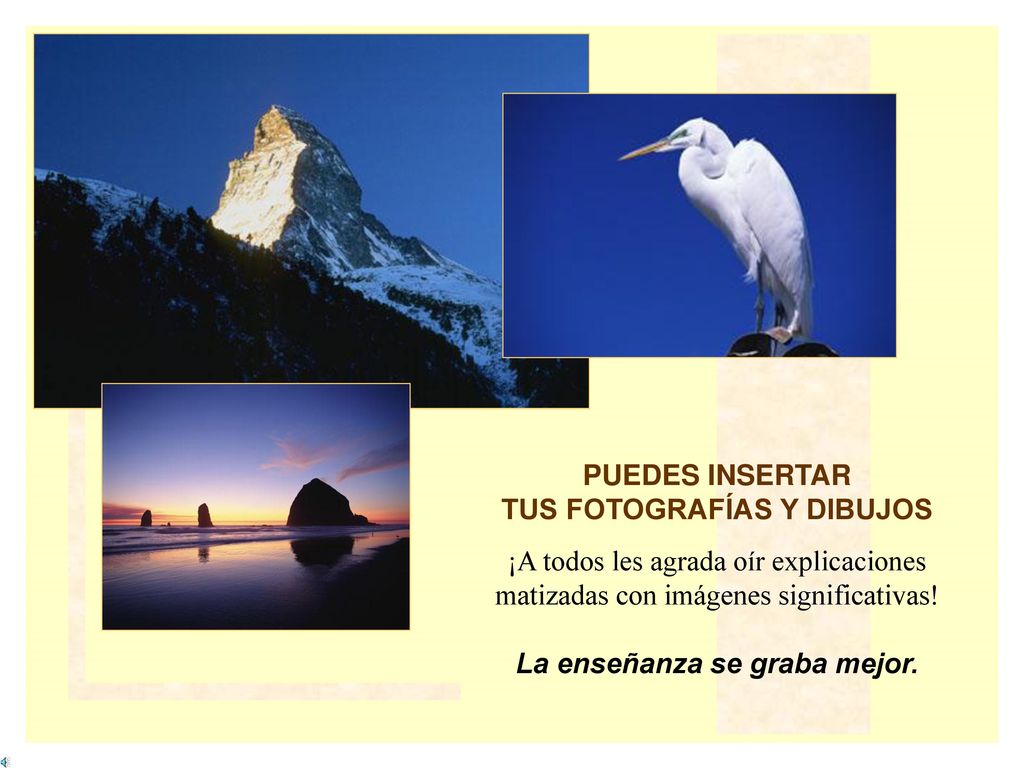 TUS FOTOGRAFÍAS Y DIBUJOS La enseñanza se graba mejor.