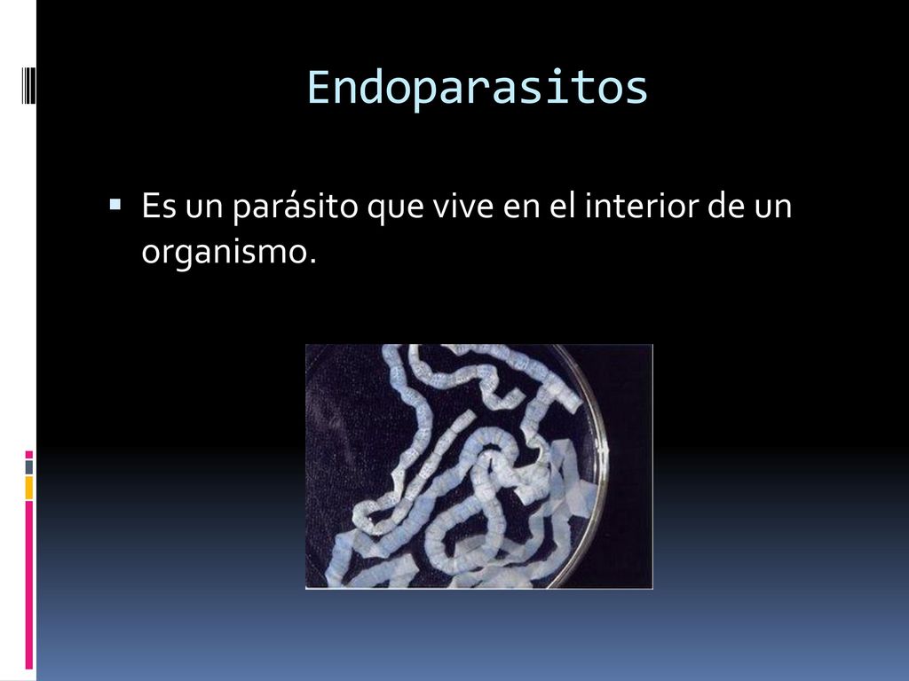 Endoparasitos Es un parásito que vive en el interior de un organismo.