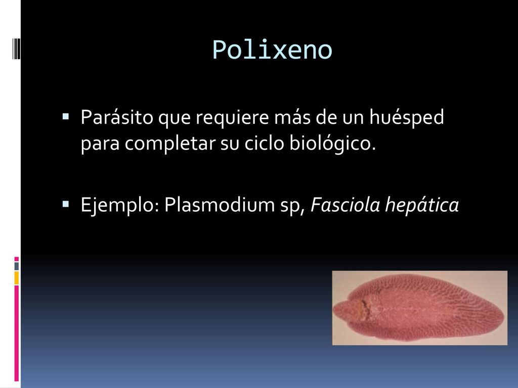 Polixeno Parásito que requiere más de un huésped para completar su ciclo biológico.