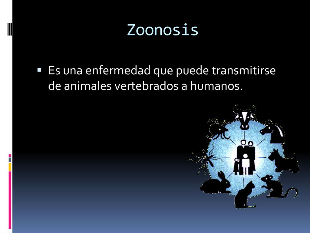 Zoonosis Es una enfermedad que puede transmitirse de animales vertebrados a humanos.