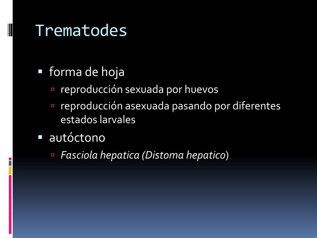 Trematodes forma de hoja autóctono reproducción sexuada por huevos