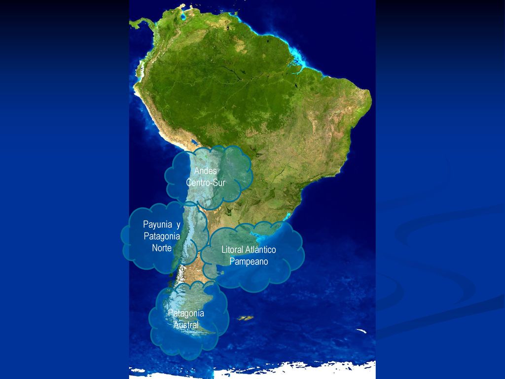 Payunia y Patagonia Norte