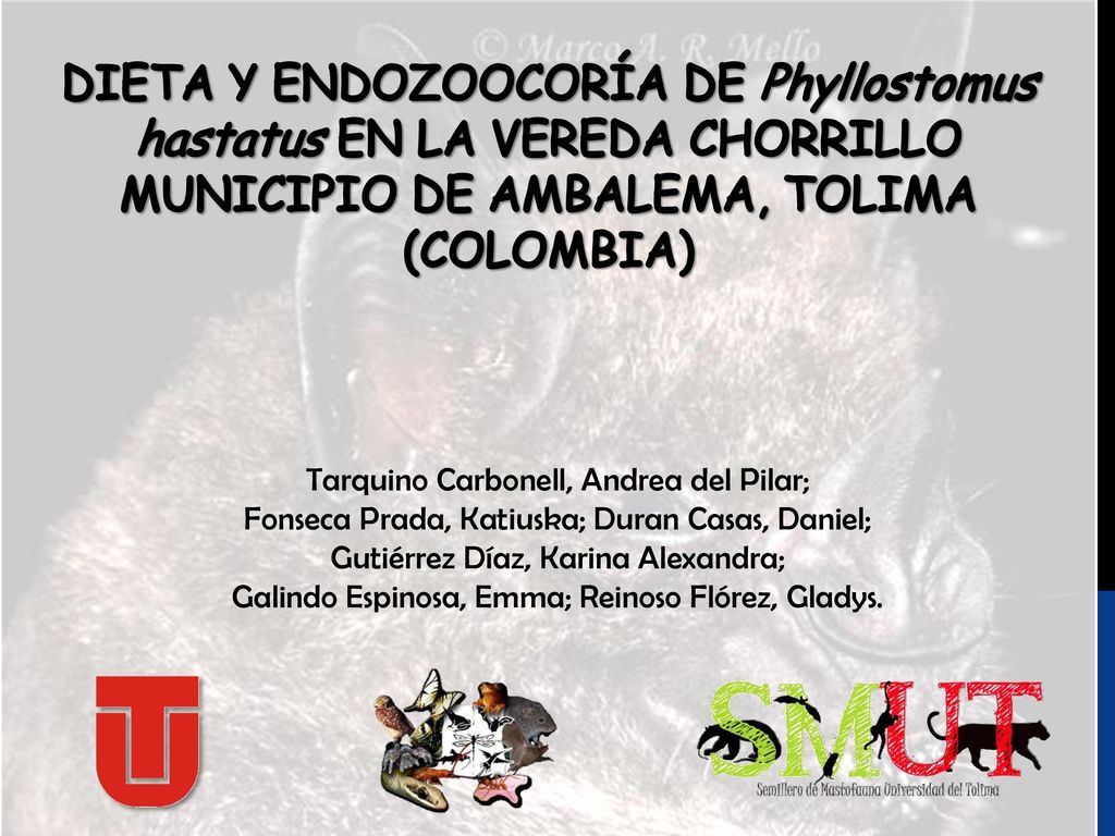 DIETA Y ENDOZOOCORÍA DE Phyllostomus hastatus EN LA VEREDA CHORRILLO MUNICIPIO DE AMBALEMA, TOLIMA (COLOMBIA)