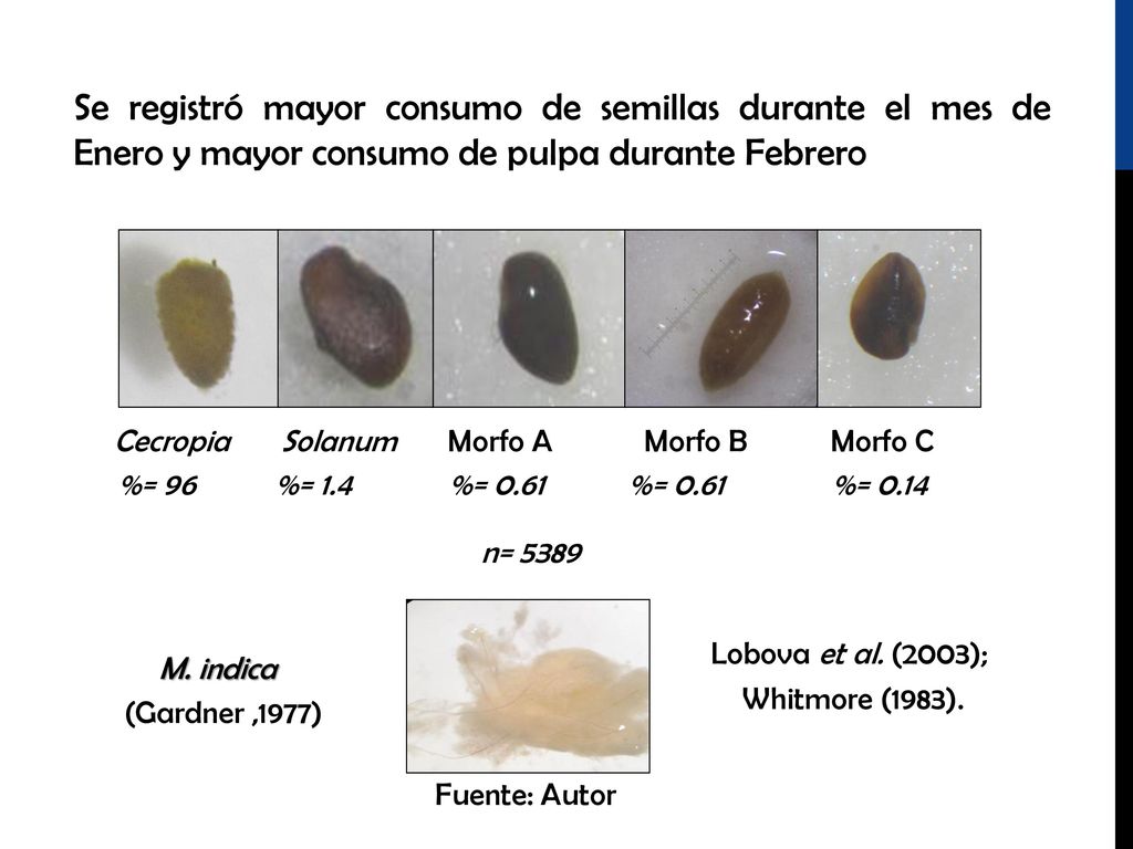 Se registró mayor consumo de semillas durante el mes de Enero y mayor consumo de pulpa durante Febrero
