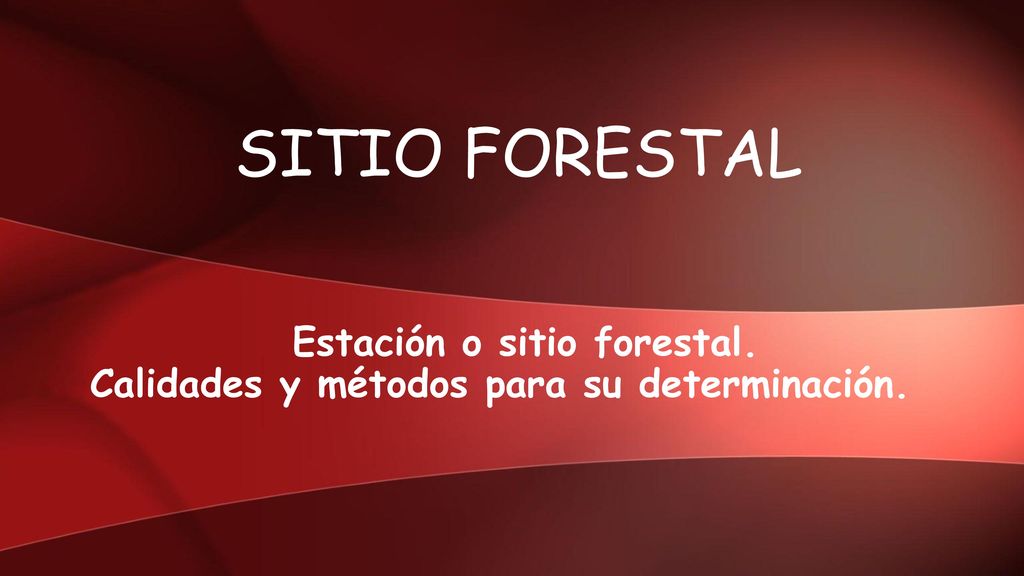 Estación o sitio forestal. Calidades y métodos para su determinación.
