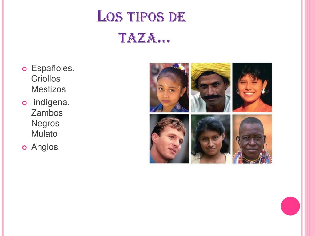 Los tipos de taza… Españoles. Criollos Mestizos