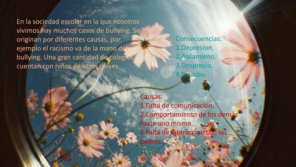 En la sociedad escolar en la que nosotros vivimos hay muchos casos de bullying. Se originan por diferentes causas, por ejemplo el racismo va de la mano del bullying. Una gran cantidad de colegios cuentan con niños de otros países.
