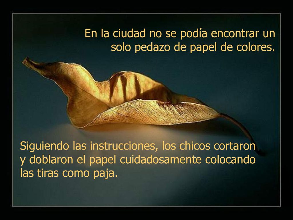 En la ciudad no se podía encontrar un solo pedazo de papel de colores.