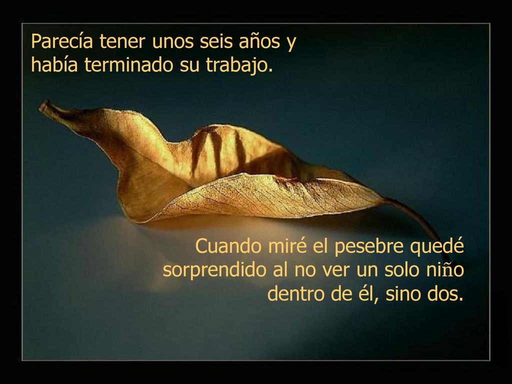Parecía tener unos seis años y había terminado su trabajo.