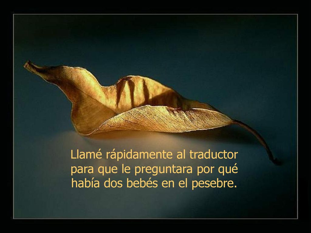 Llamé rápidamente al traductor para que le preguntara por qué había dos bebés en el pesebre.