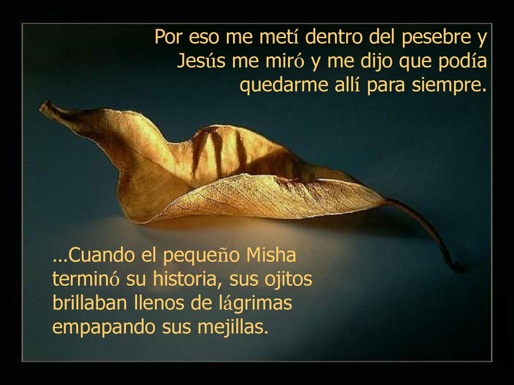 Por eso me metí dentro del pesebre y Jesús me miró y me dijo que podía quedarme allí para siempre.